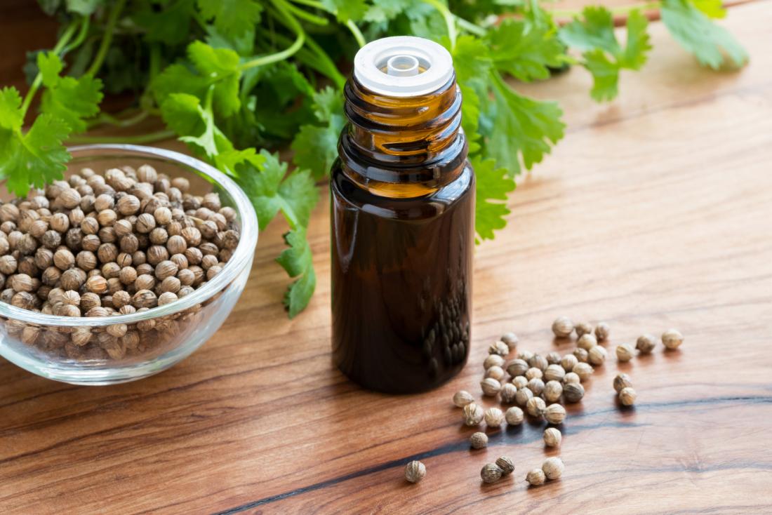 Coriander Oil Benefits Of Coriander, Coriander Seed Oil Benefits, Guide